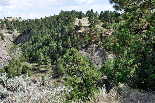 view from Doc Hiatt Overlook